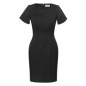 Ladies Short Sleeve Shift Dress - 30112